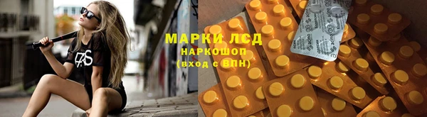 индика Протвино
