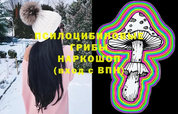 дживик Балахна