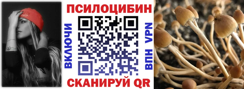 Псилоцибиновые грибы мицелий  кракен ТОР  Никольск 